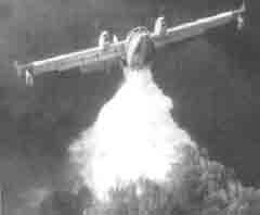 Canadair in azione