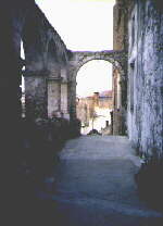 Colonnato androceo