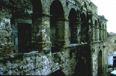 Colonnato androceo - Sala del Malconsiglio