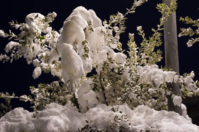 neve_miglionico_maggio_s_facebook_0607201718.jpg