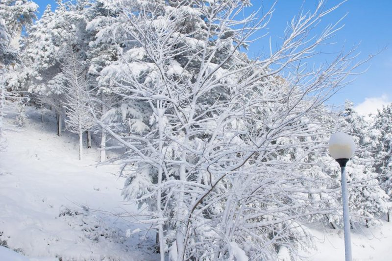 neve_miglionico_maggio_s_facebook_0607201735.jpg