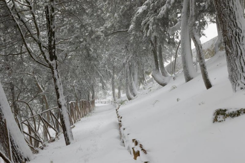neve_miglionico_maggio_s_facebook_0607201776.jpg