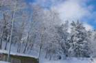 neve_miglionico_maggio_s_facebook_0607201777_small.jpg