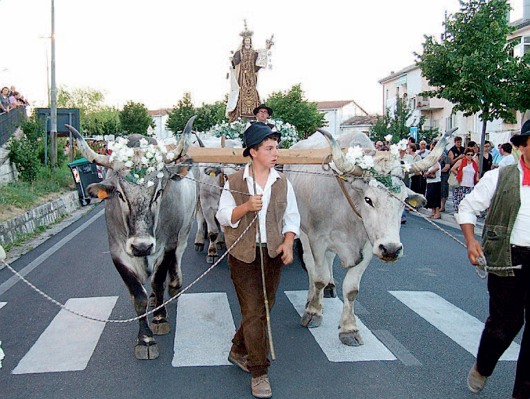 Tricarico: un momento della festa in onore della Madonna del Carmine (Foto: La Gazzetta del Mezzogiorno)