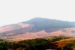 Monte Acuto (Miglionico)