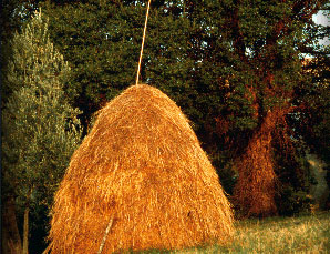 Pagliaio (Fonte: La rete)