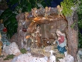 Album fotografico del Presepe realizzato nella Chiesa S. Maria Maggiore di Miglionico (Dicembre 2008)