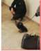 san_francesco_di_paola_benedizione_degli_animali_1701211_small.jpg