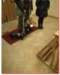 san_francesco_di_paola_benedizione_degli_animali_1701215_small.jpg