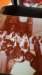 _san_francesco_di_paola_1301204_small.jpg